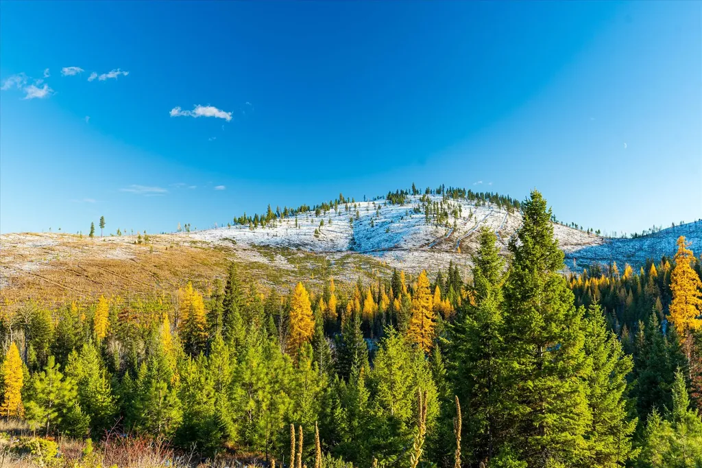 Nhn Mcginnis Meadows - Bayhorse Road Section 5 Libby MT 59923