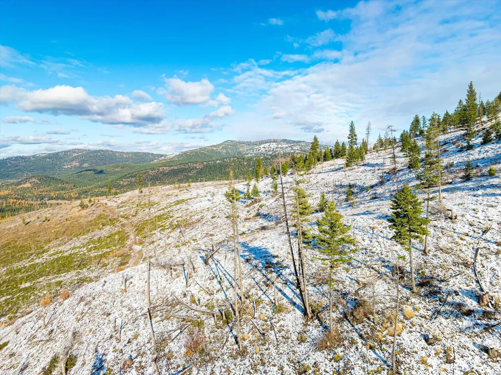 Nhn Mcginnis Meadows - Bayhorse Road Section 5 Libby MT 59923