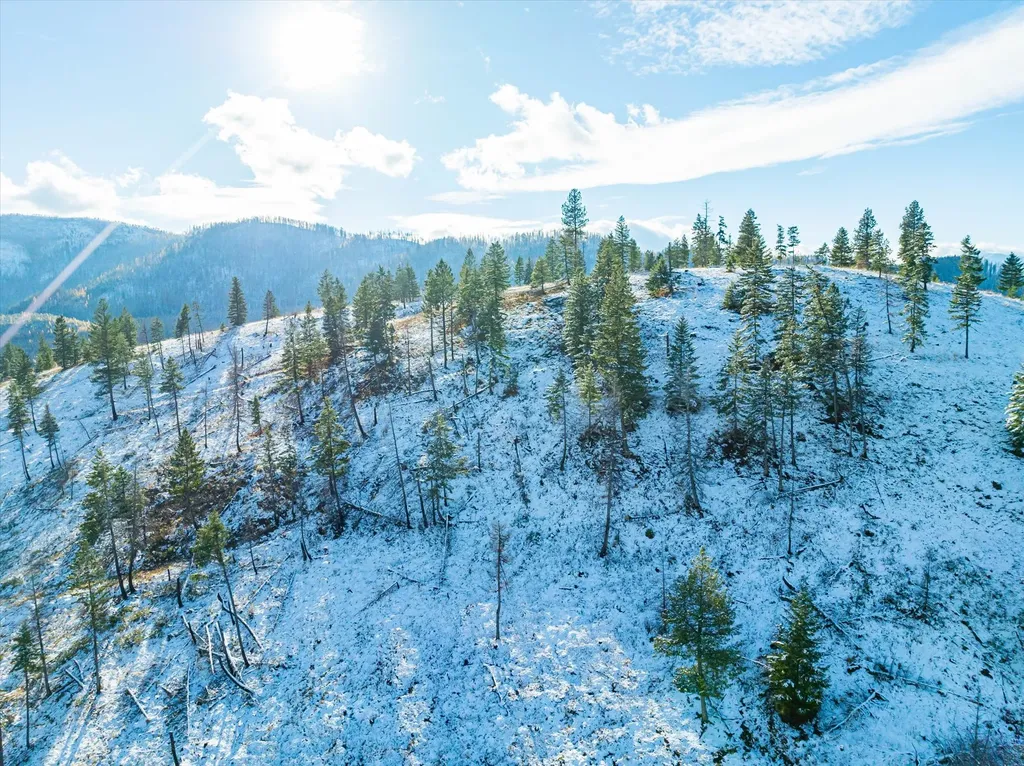 Nhn Mcginnis Meadows - Bayhorse Road Section 5 Libby MT 59923