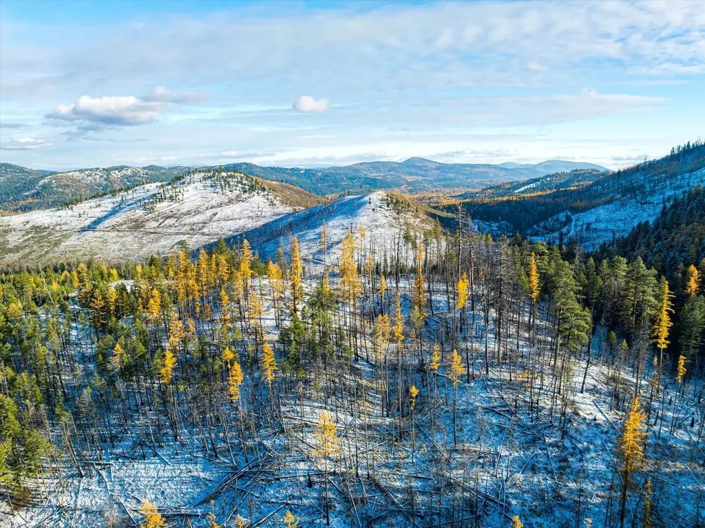 Nhn Mcginnis Meadows - Bayhorse Road Section 5 Libby MT 59923