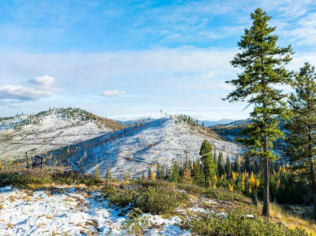 Nhn Mcginnis Meadows - Bayhorse Road Section 5 Libby MT 59923