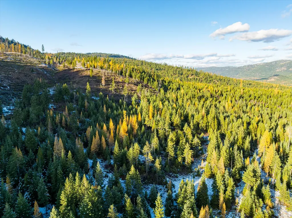 Nhn Mcginnis Meadows - Bayhorse Road Section 5 Libby MT 59923