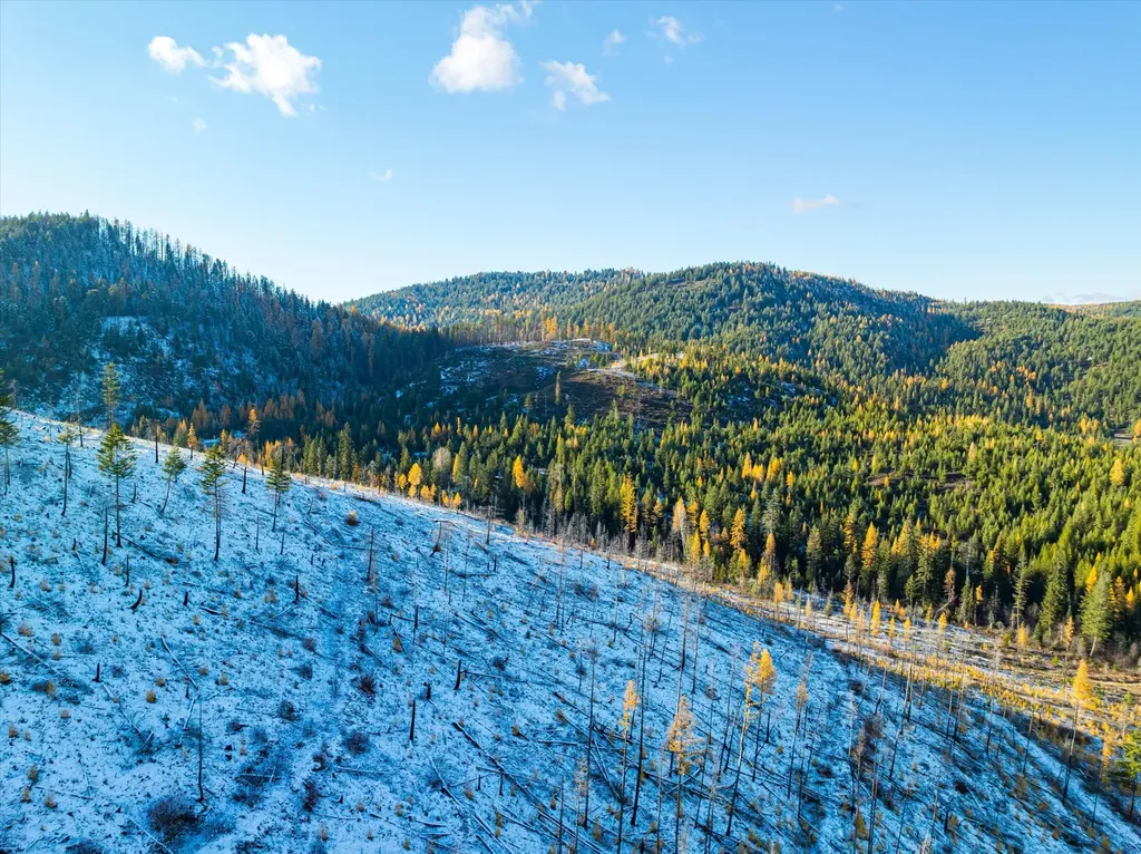 Nhn Mcginnis Meadows - Bayhorse Road Section 5 Libby MT 59923