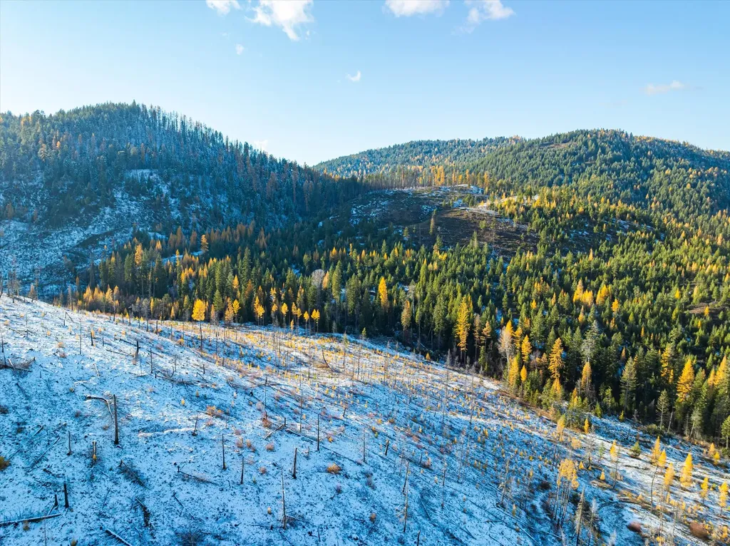 Nhn Mcginnis Meadows - Bayhorse Road Section 5 Libby MT 59923