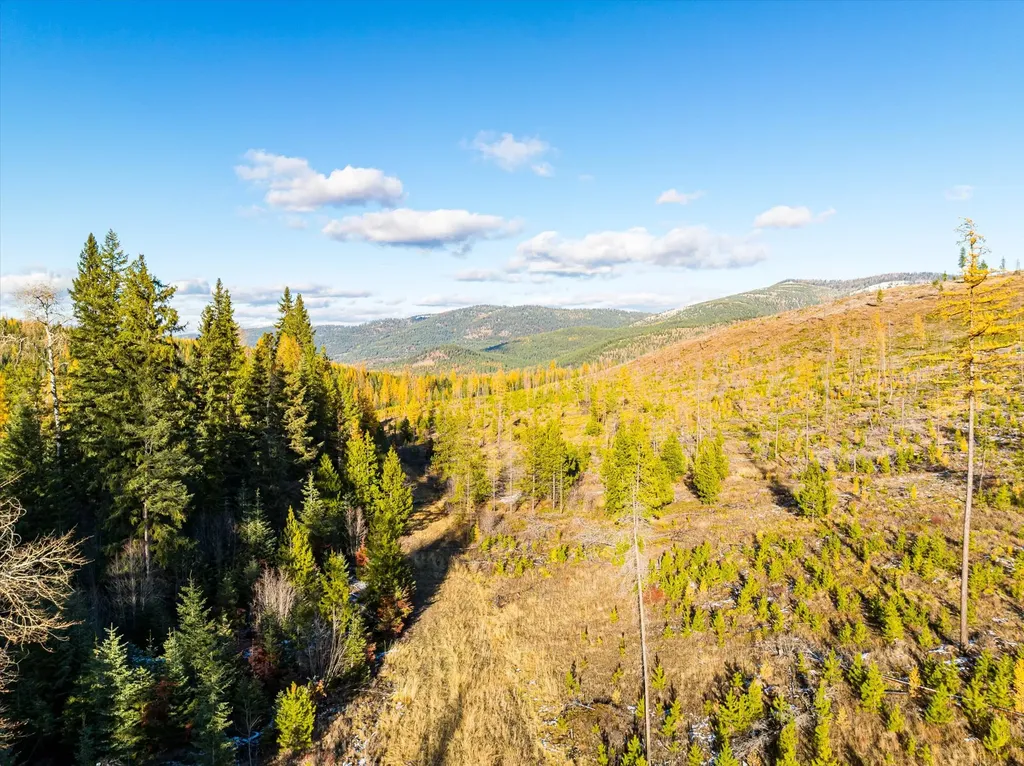 Nhn Mcginnis Meadows - Bayhorse Road Section 5 Libby MT 59923