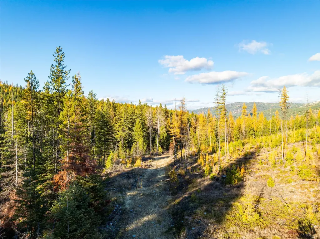 Nhn Mcginnis Meadows - Bayhorse Road Section 5 Libby MT 59923