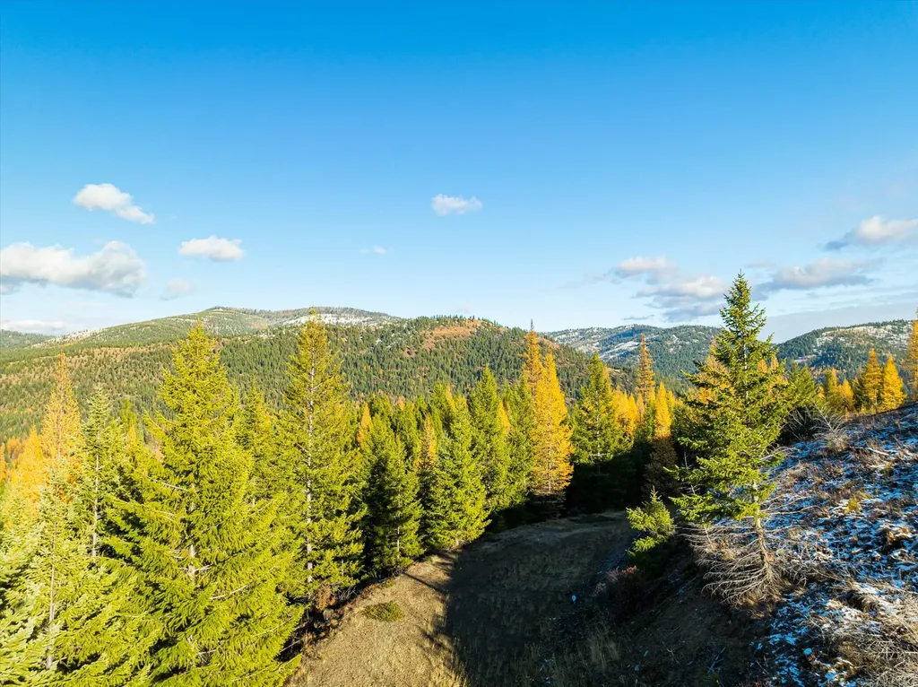 Nhn Mcginnis Meadows - Bayhorse Road Section 5 Libby MT 59923