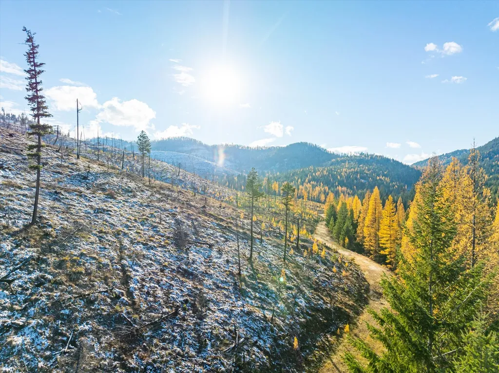 Nhn Mcginnis Meadows - Bayhorse Road Section 5 Libby MT 59923