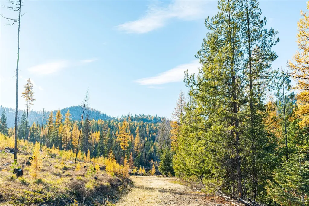 Nhn Mcginnis Meadows - Bayhorse Road Section 5 Libby MT 59923