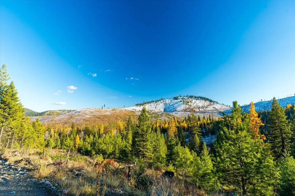 Nhn Mcginnis Meadows - Bayhorse Road Section 5 Libby MT 59923