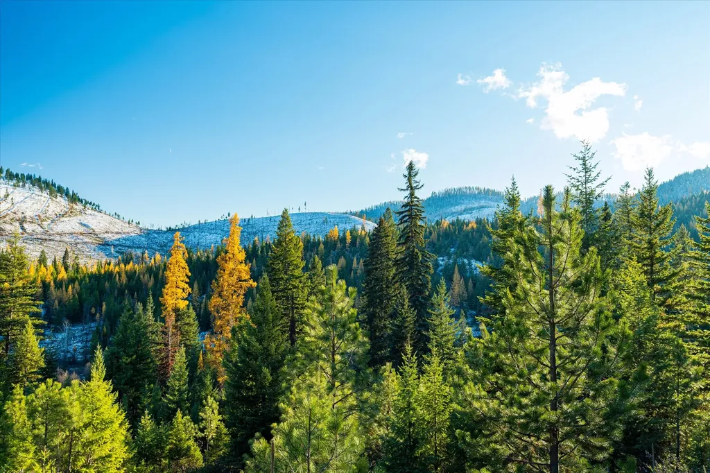 Nhn Mcginnis Meadows - Bayhorse Road Section 5 Libby MT 59923