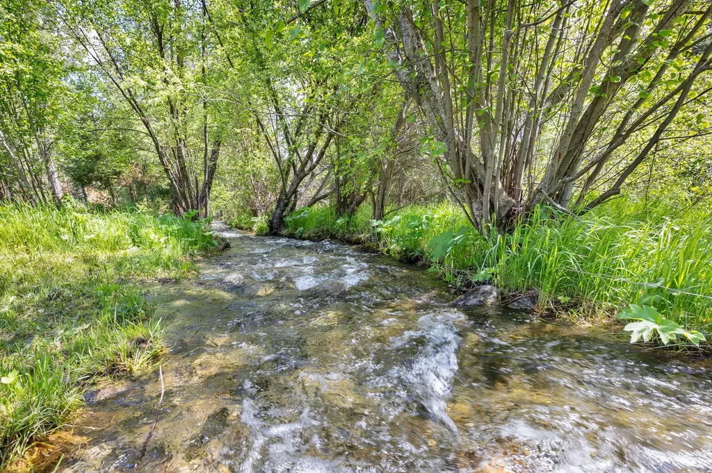 1743 Nighthawk Trail Victor MT 59875
