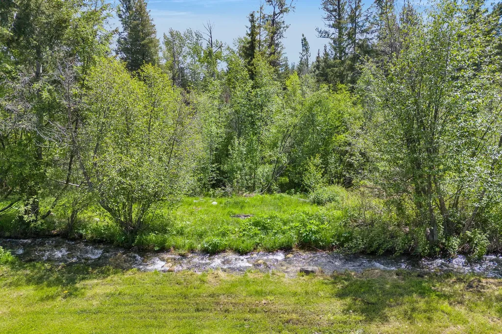 1743 Nighthawk Trail Victor MT 59875