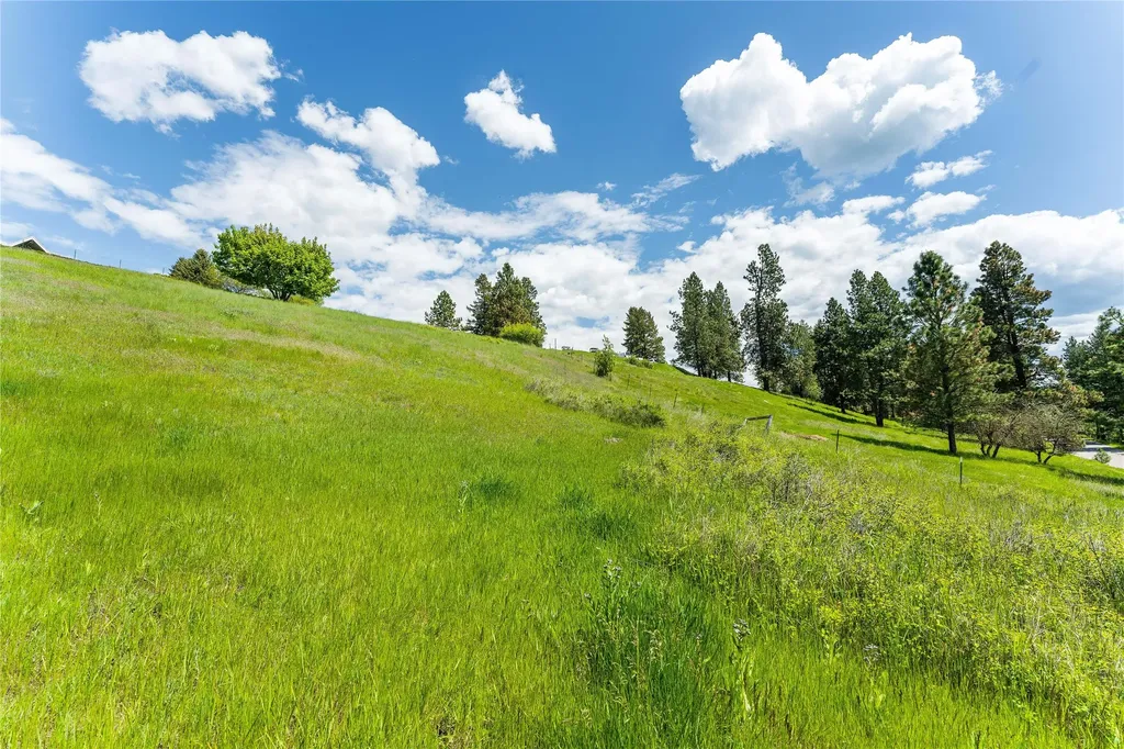 130 S Crestview Terrace Bigfork MT 59911