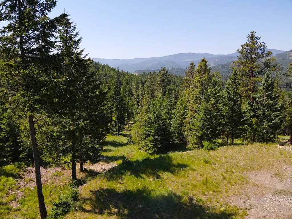 82 Hyden Ridge Road Lakeside MT 59922
