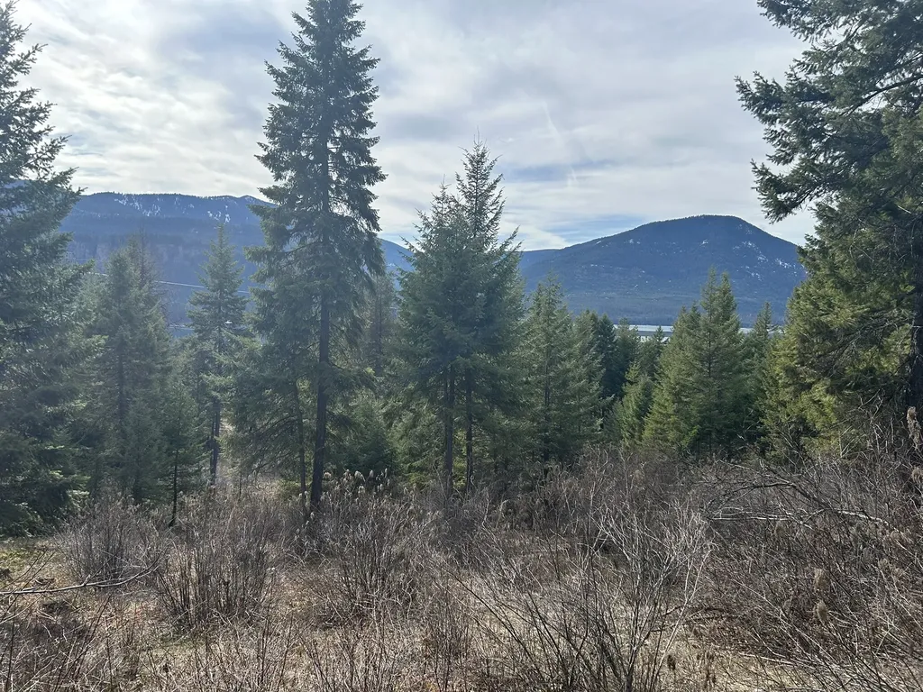 5 Red Fir Lane Noxon MT 59853