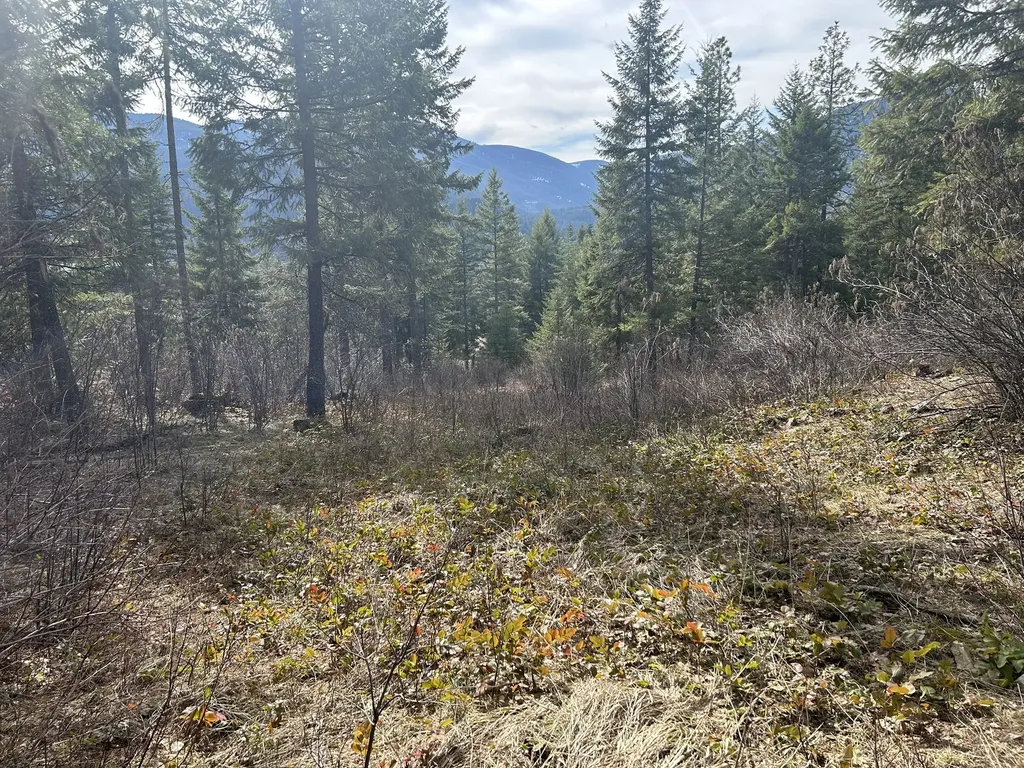 5 Red Fir Lane Noxon MT 59853