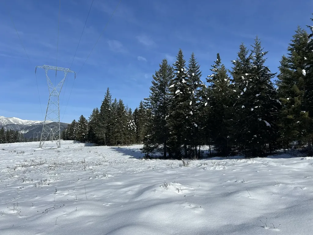 5 Red Fir Lane Noxon MT 59853