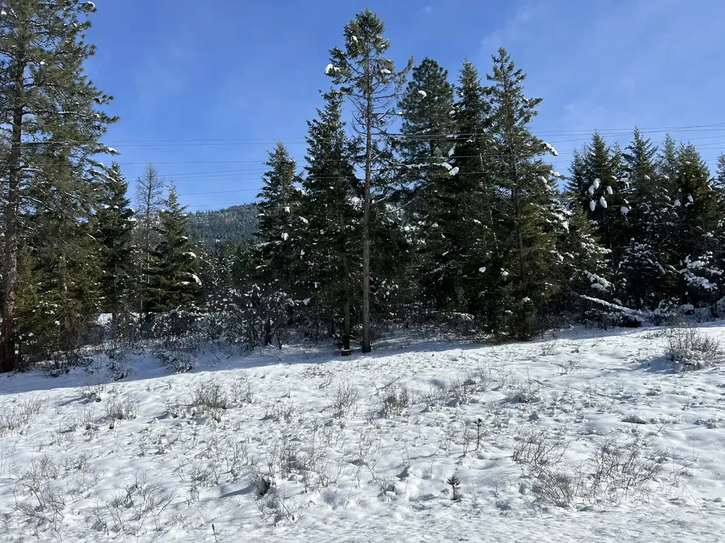 5 Red Fir Lane Noxon MT 59853