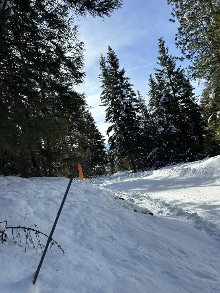 5 Red Fir Lane Noxon MT 59853