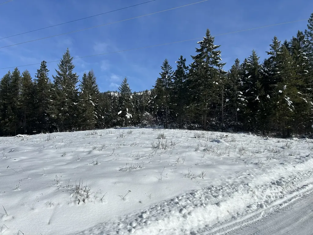 5 Red Fir Lane Noxon MT 59853