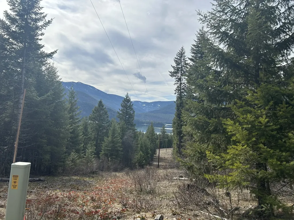 5 Red Fir Lane Noxon MT 59853
