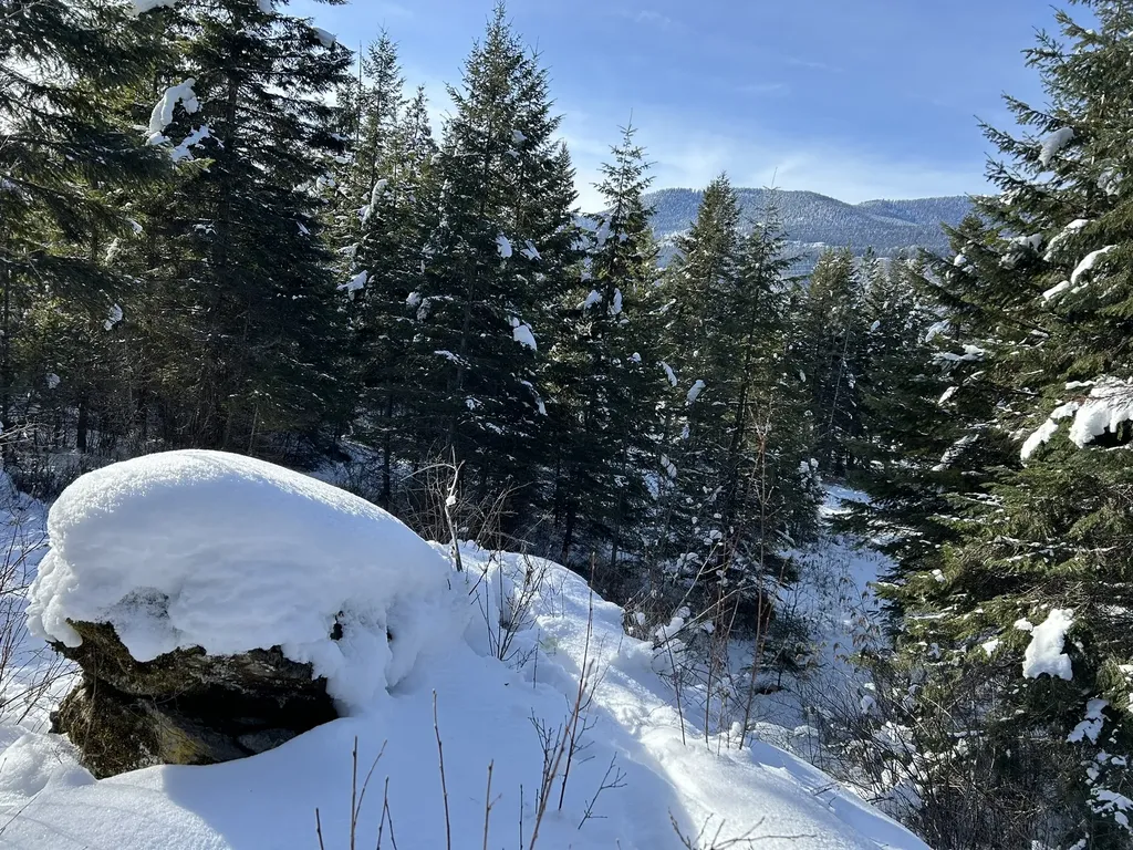 5 Red Fir Lane Noxon MT 59853
