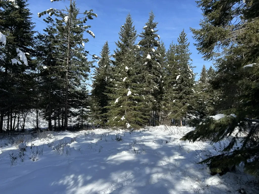 5 Red Fir Lane Noxon MT 59853