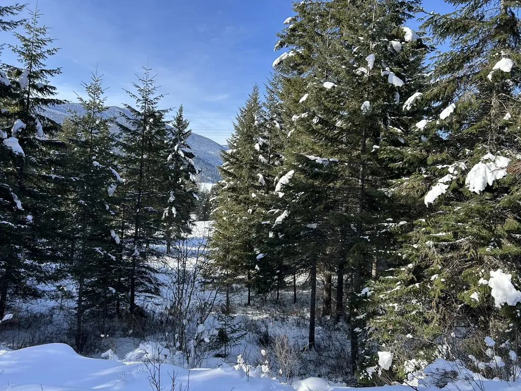 5 Red Fir Lane Noxon MT 59853