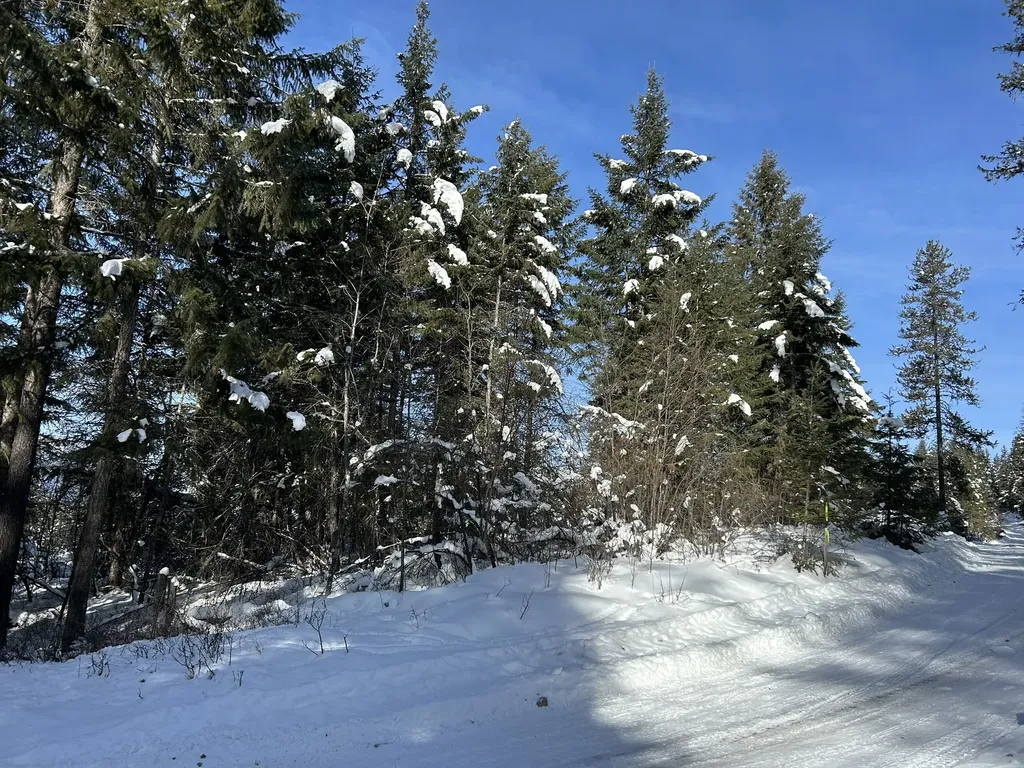 5 Red Fir Lane Noxon MT 59853
