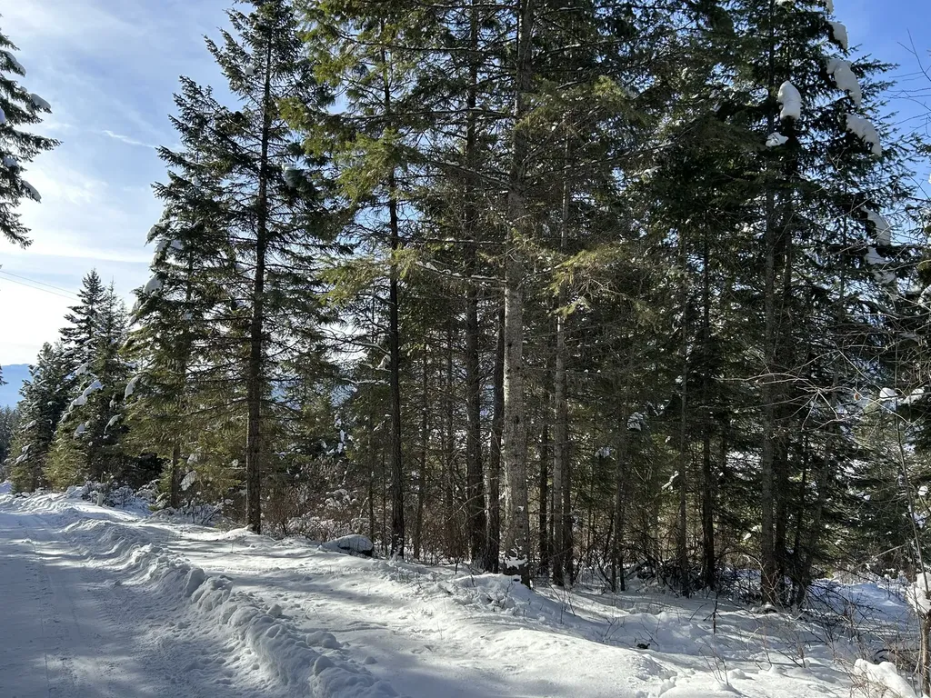 5 Red Fir Lane Noxon MT 59853