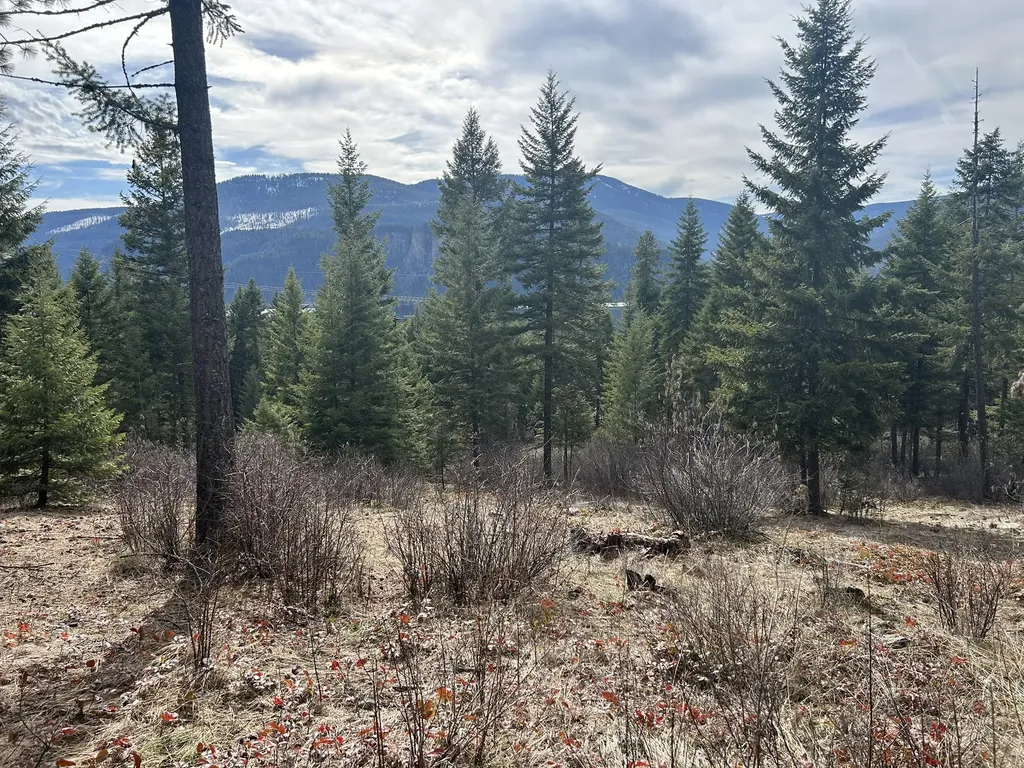 5 Red Fir Lane Noxon MT 59853
