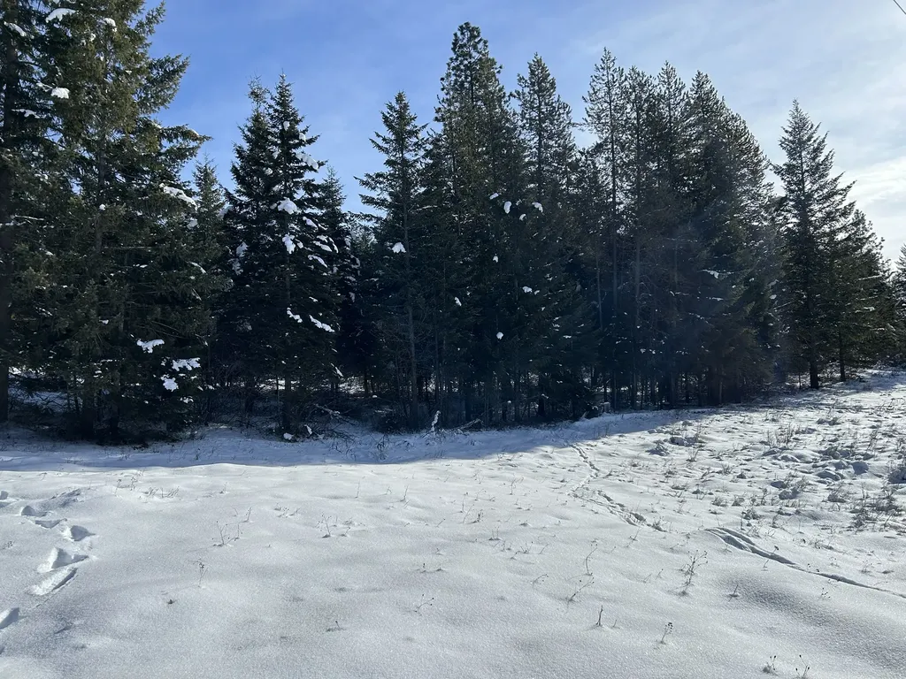 5 Red Fir Lane Noxon MT 59853