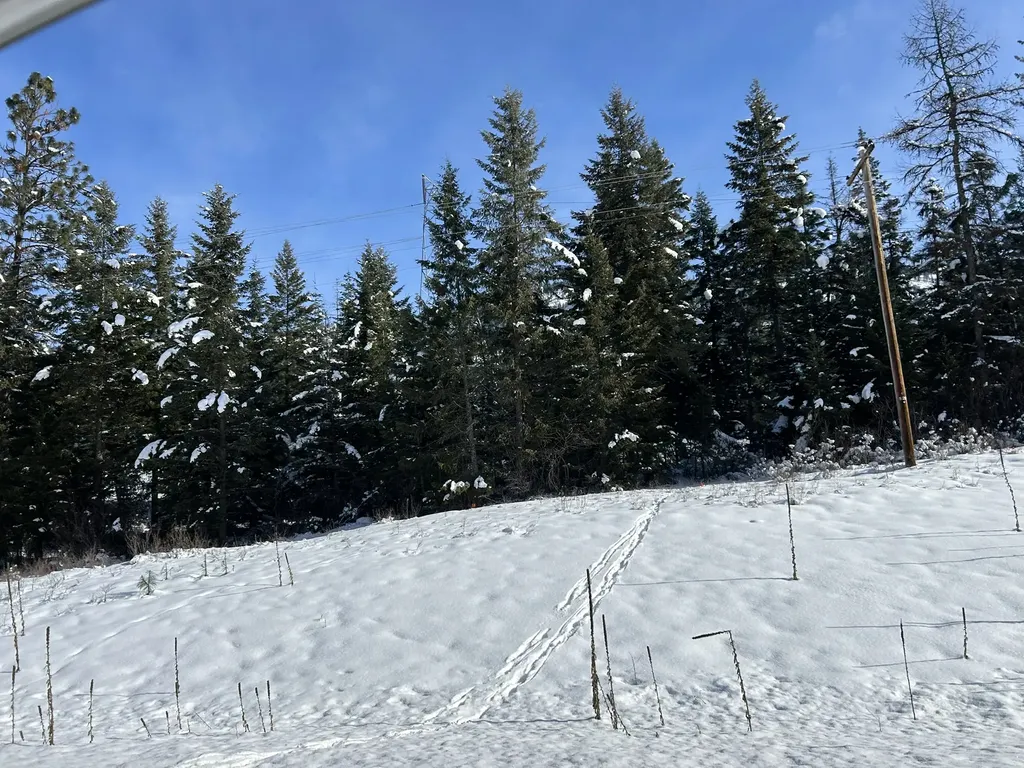 5 Red Fir Lane Noxon MT 59853