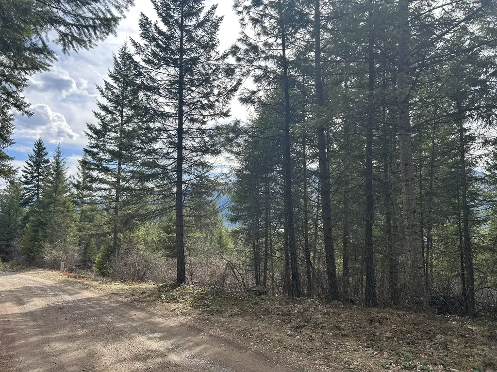 5 Red Fir Lane Noxon MT 59853