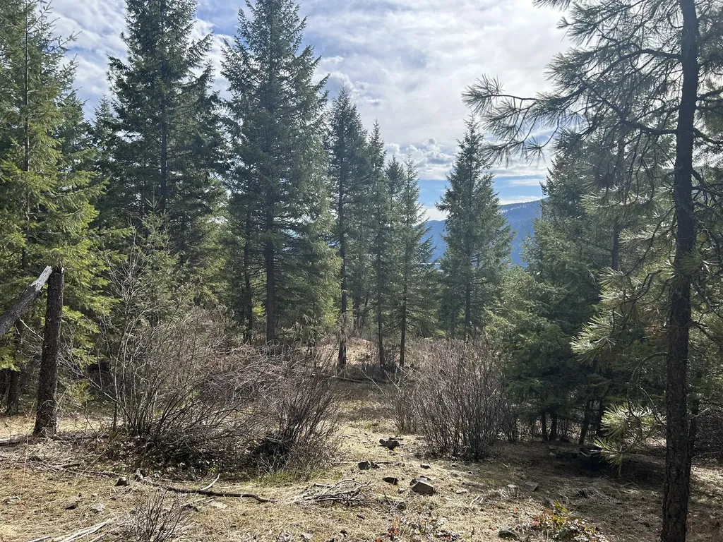 5 Red Fir Lane Noxon MT 59853