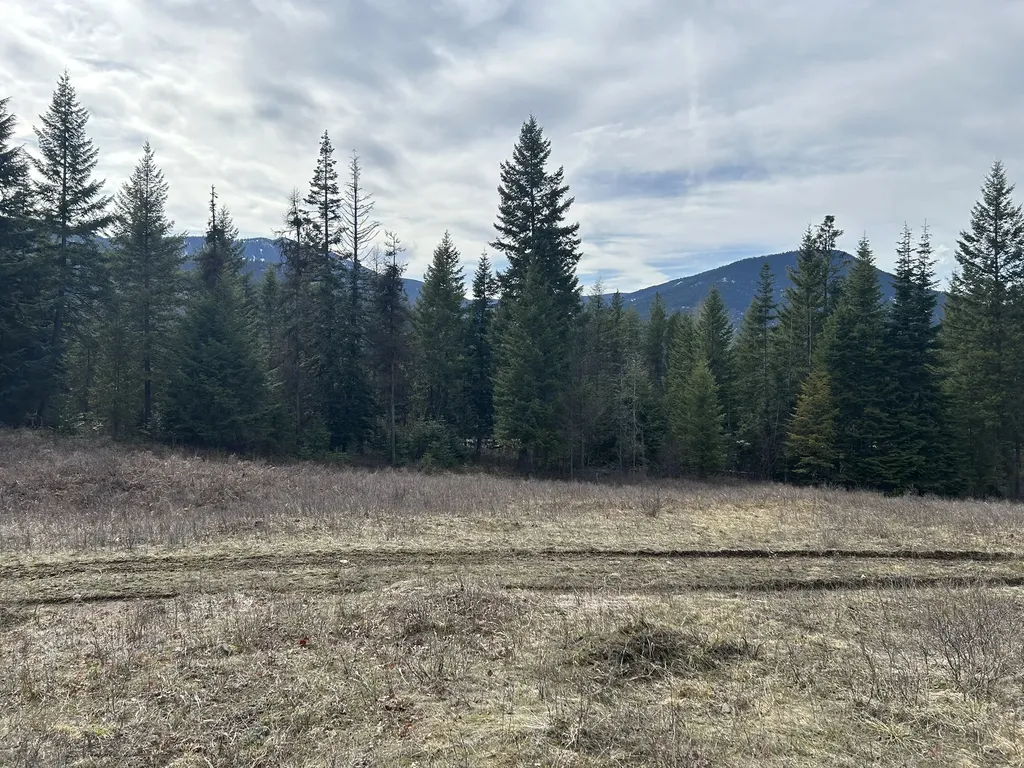 5 Red Fir Lane Noxon MT 59853