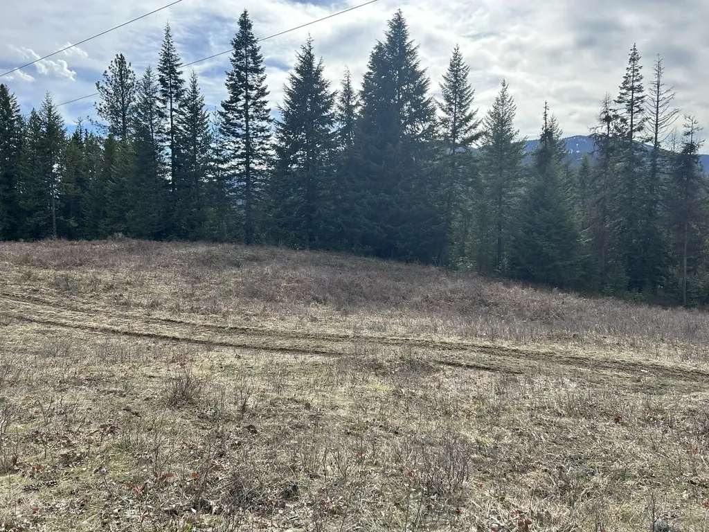 5 Red Fir Lane Noxon MT 59853