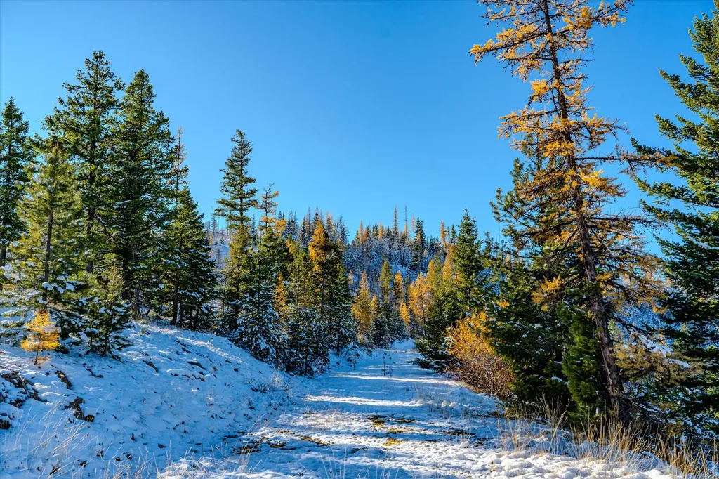 Nhn Mcginnis Meadows - Bayhorse Road Section 7 Libby MT 59923