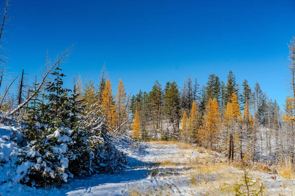 Nhn Mcginnis Meadows - Bayhorse Road Section 7 Libby MT 59923