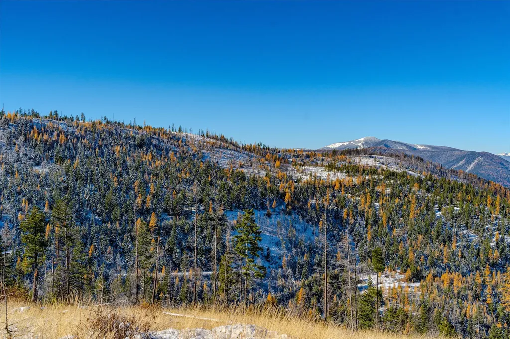 Nhn Mcginnis Meadows - Bayhorse Road Section 7 Libby MT 59923