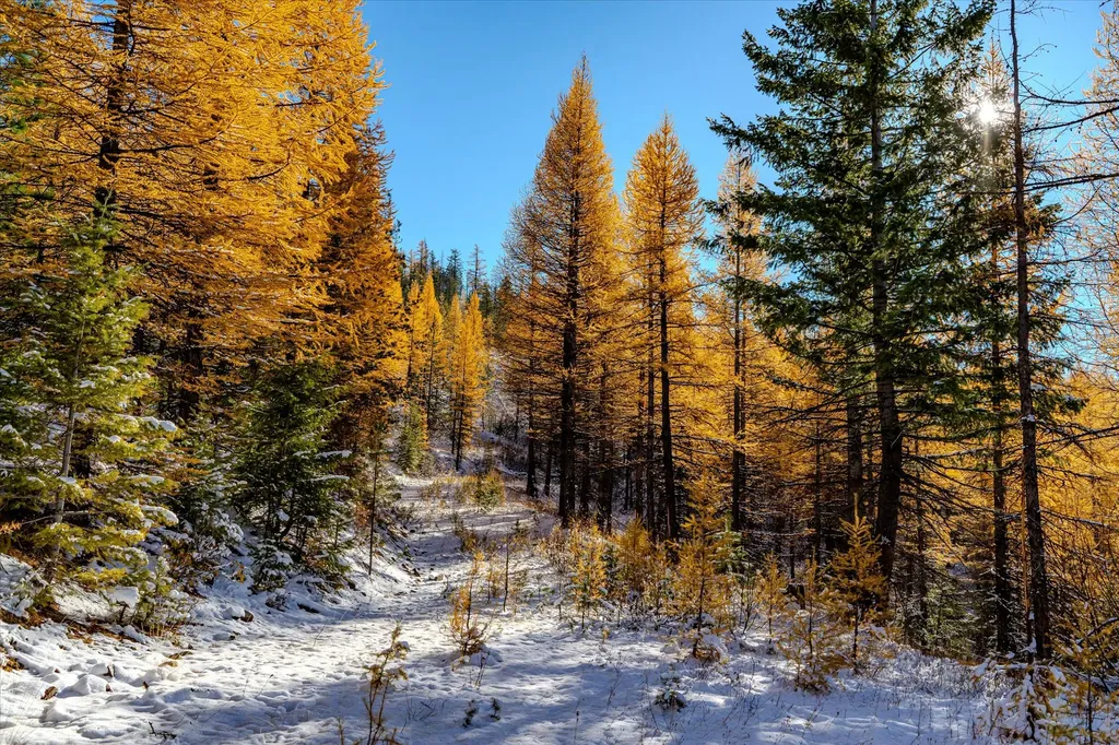 Nhn Mcginnis Meadows - Bayhorse Road Section 7 Libby MT 59923