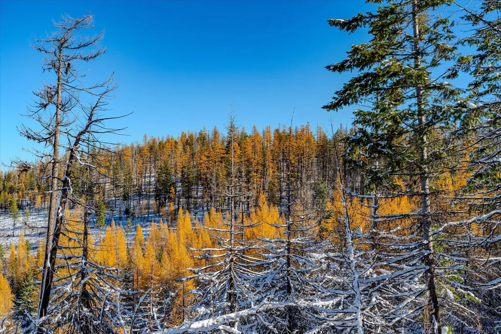 Nhn Mcginnis Meadows - Bayhorse Road Section 7 Libby MT 59923