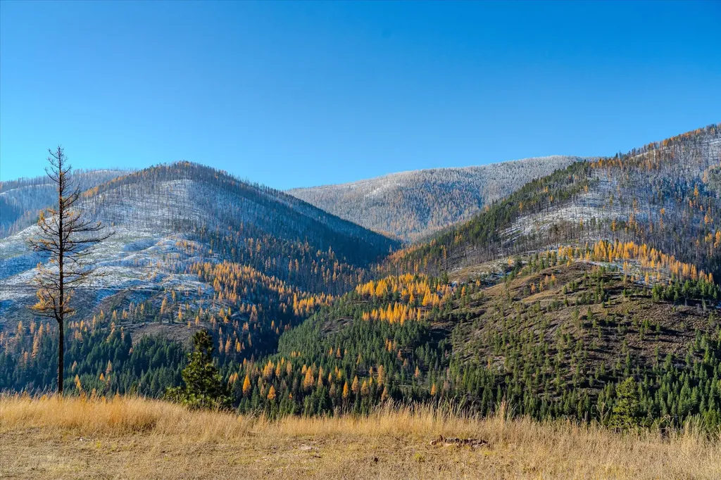 Nhn Mcginnis Meadows - Bayhorse Road Section 7 Libby MT 59923