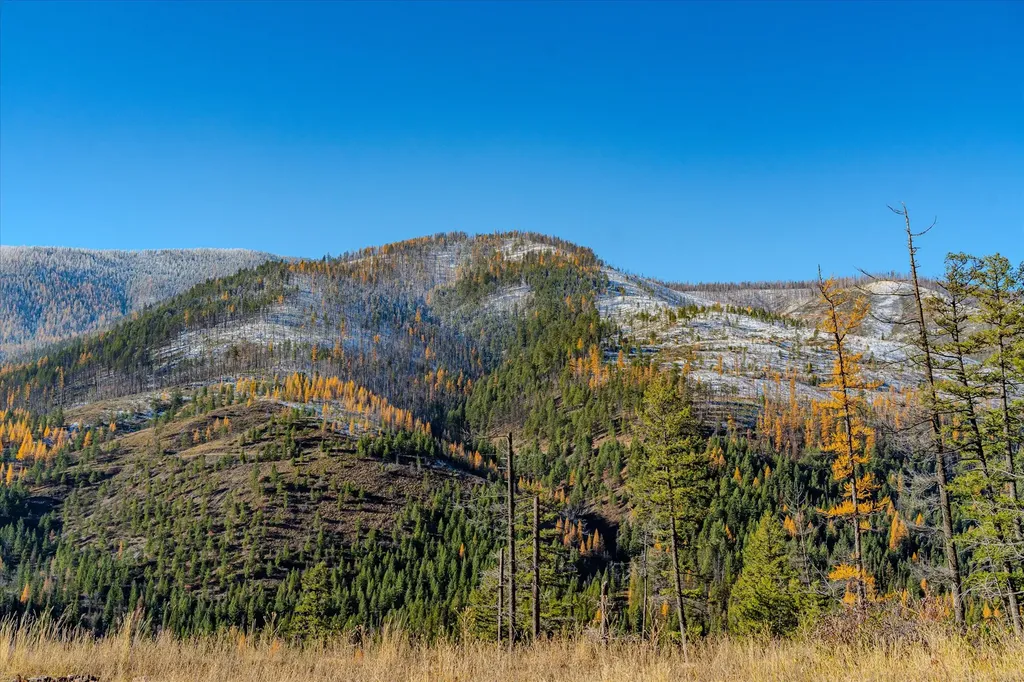 Nhn Mcginnis Meadows - Bayhorse Road Section 7 Libby MT 59923
