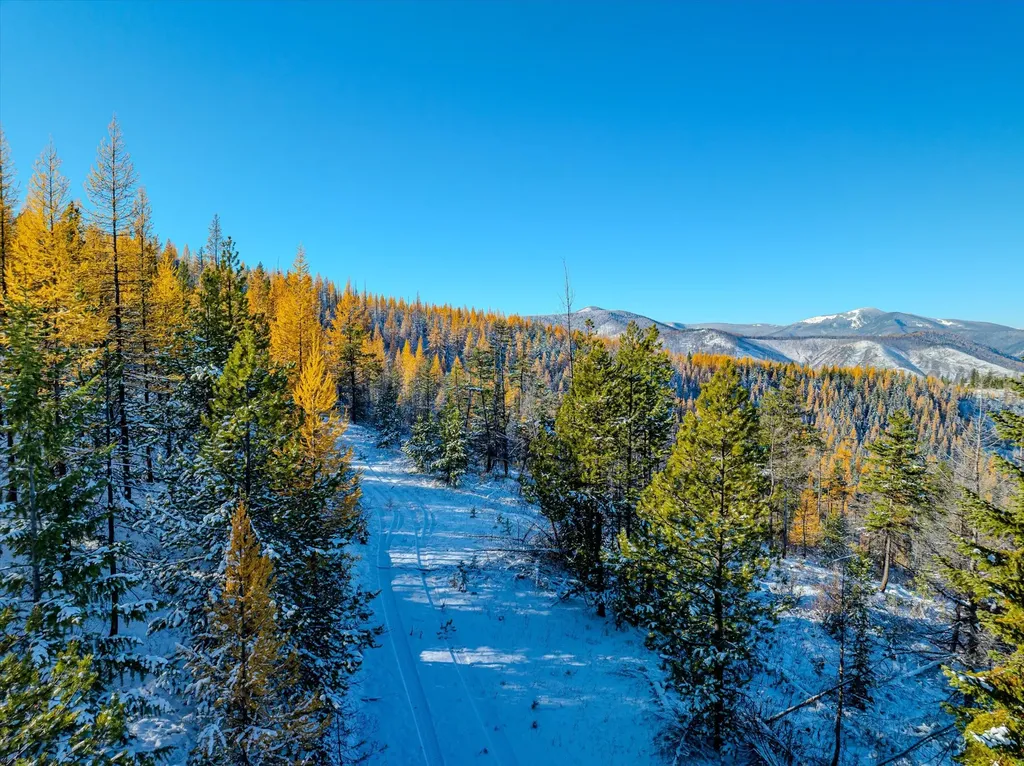 Nhn Mcginnis Meadows - Bayhorse Road Section 7 Libby MT 59923