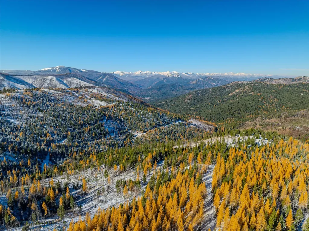 Nhn Mcginnis Meadows - Bayhorse Road Section 7 Libby MT 59923