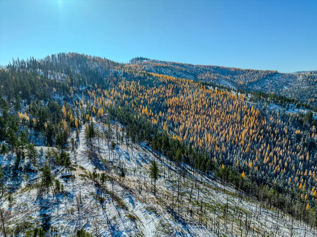 Nhn Mcginnis Meadows - Bayhorse Road Section 7 Libby MT 59923