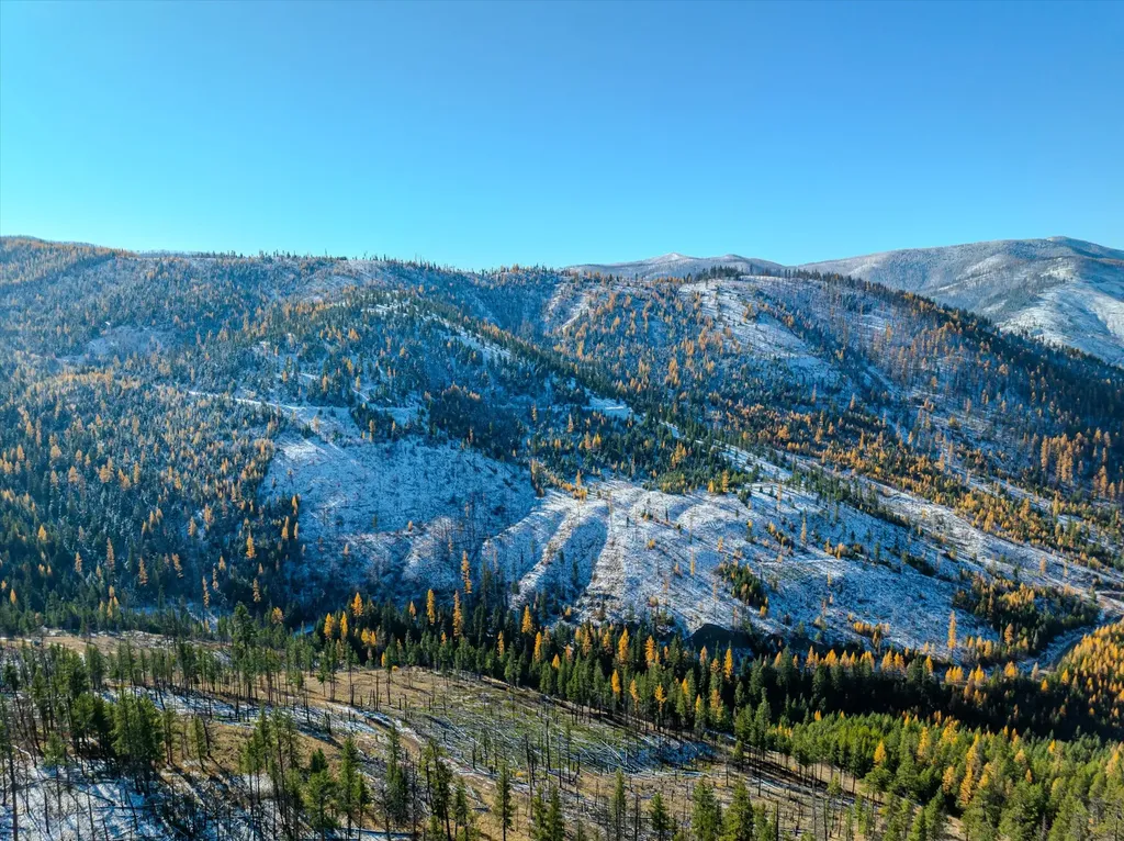 Nhn Mcginnis Meadows - Bayhorse Road Section 7 Libby MT 59923