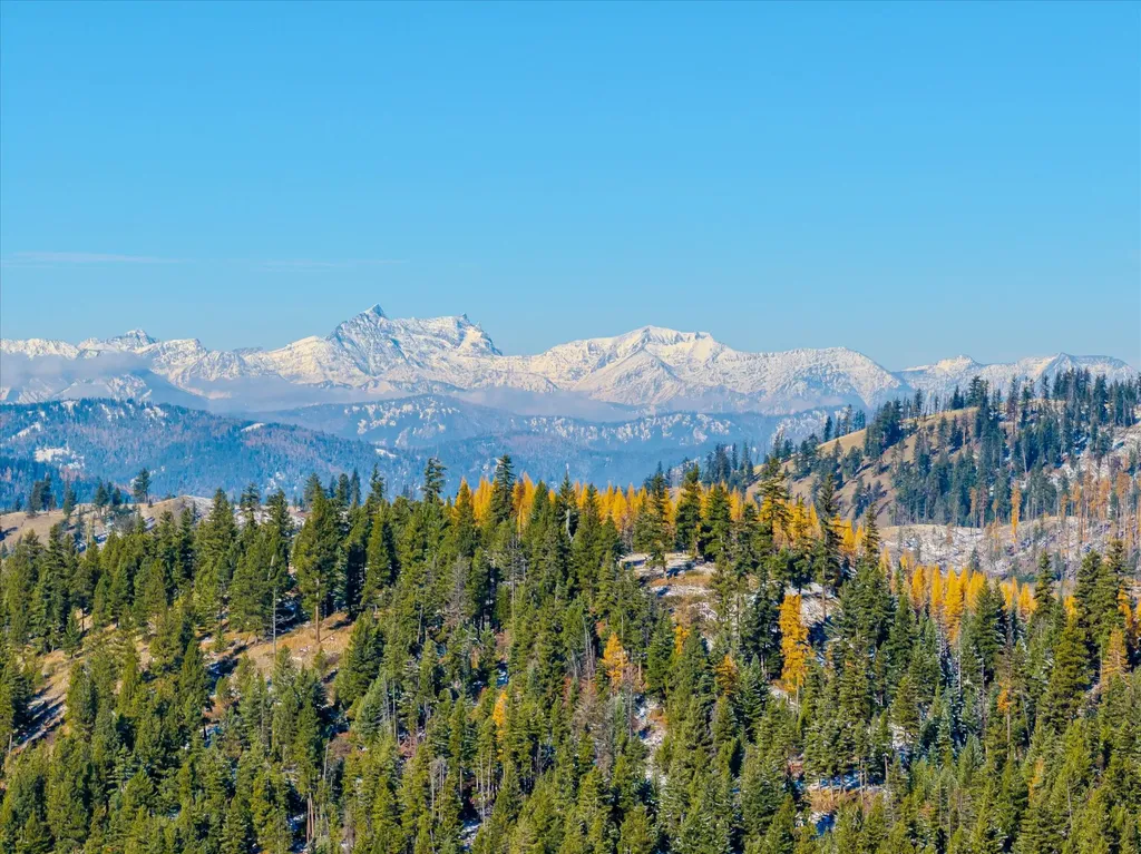 Nhn Mcginnis Meadows - Bayhorse Road Section 7 Libby MT 59923
